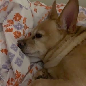 Meet your Posher, Cherrell